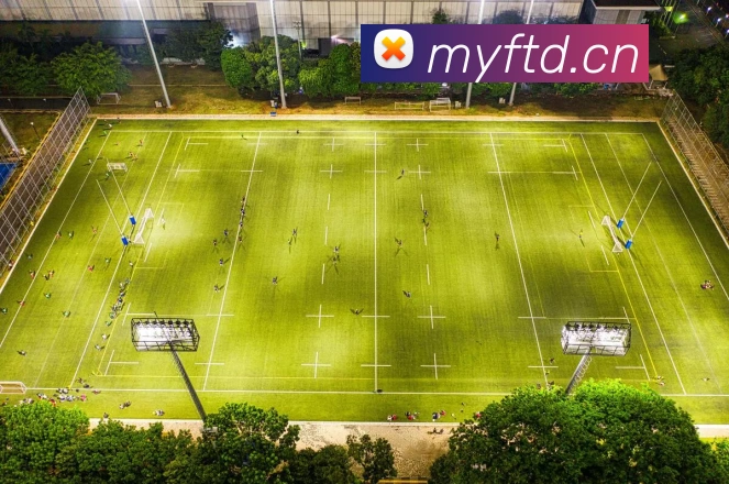 App Interface Preview