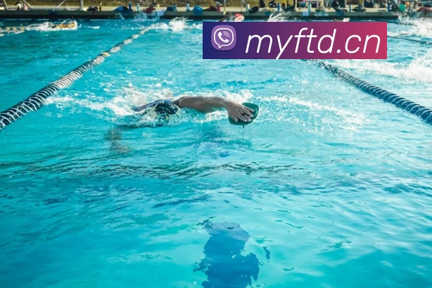 开云app最新版下载网站APP 封面图